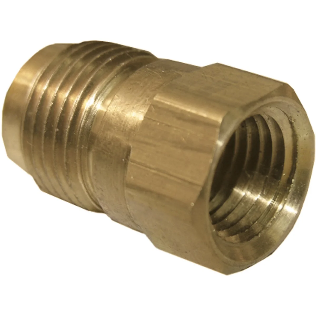 Fast Lasco 3 8 In. M x 1 8 In. FPT Brass Flare Adapter Natural