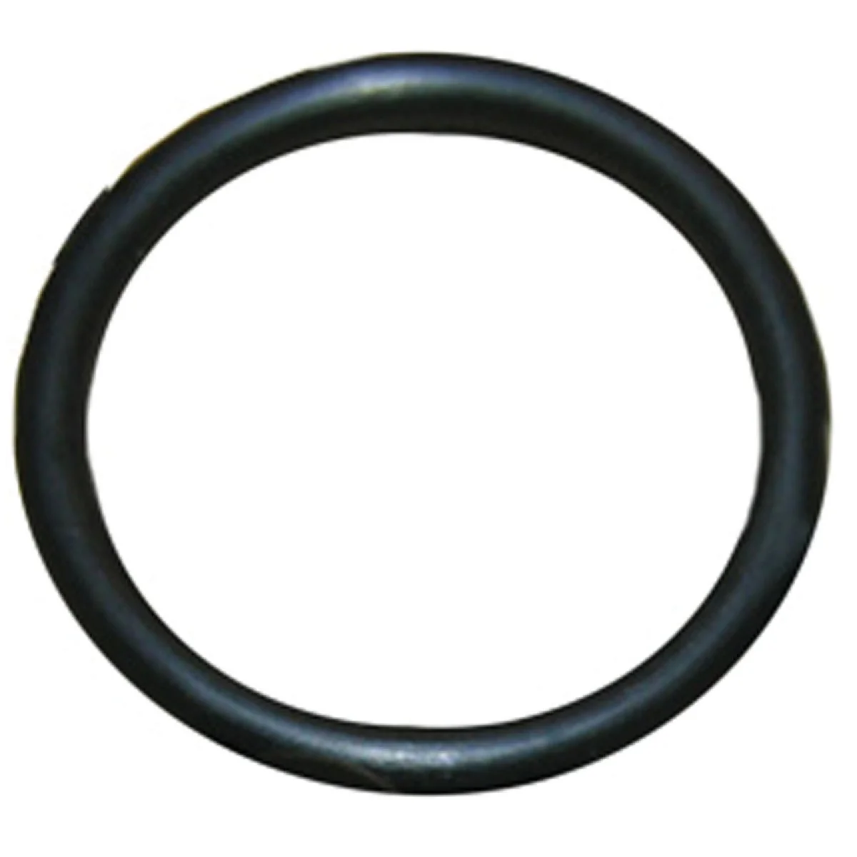 Advanced Lasco 63 1-1 8 In. x 1-3 8 In. O-Ring Practical