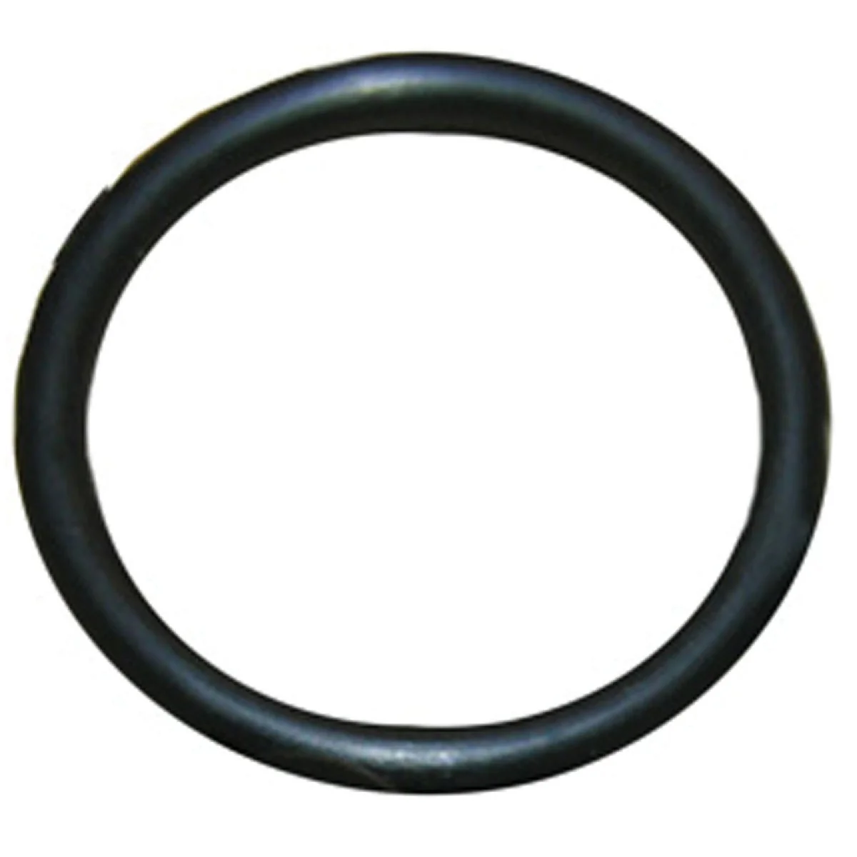 Traditional Lasco 51 15 16 In. x 1-3 16 In. O-Ring Safe