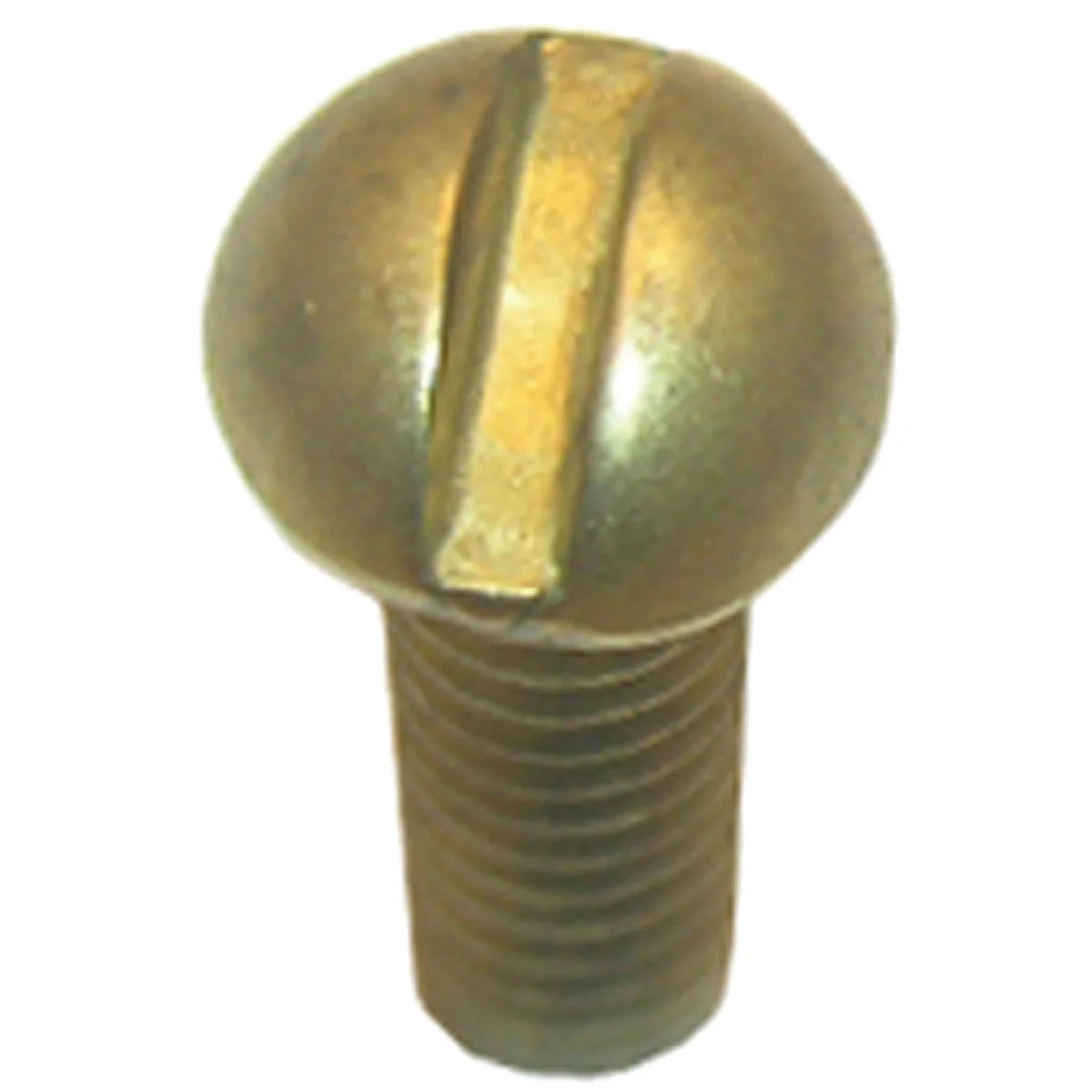 Outstanding Lasco Round Head 1 2 In. 8 Faucet Screw Luxury