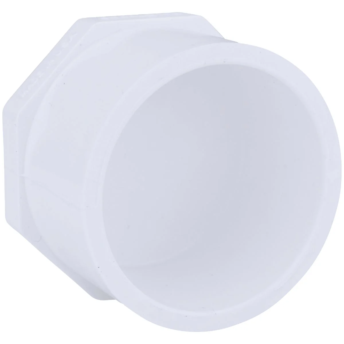 Environmentally Friendly Charlotte Pipe Schedule 40 2 in. Spigot PVC Spigot Plug Advanced
