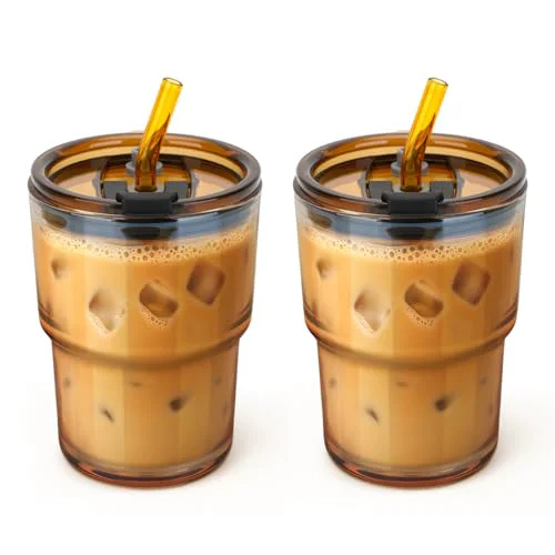 Elite 13 oz Glass Tumbler with Glass Straw and Lid 2 Count Premium Material
