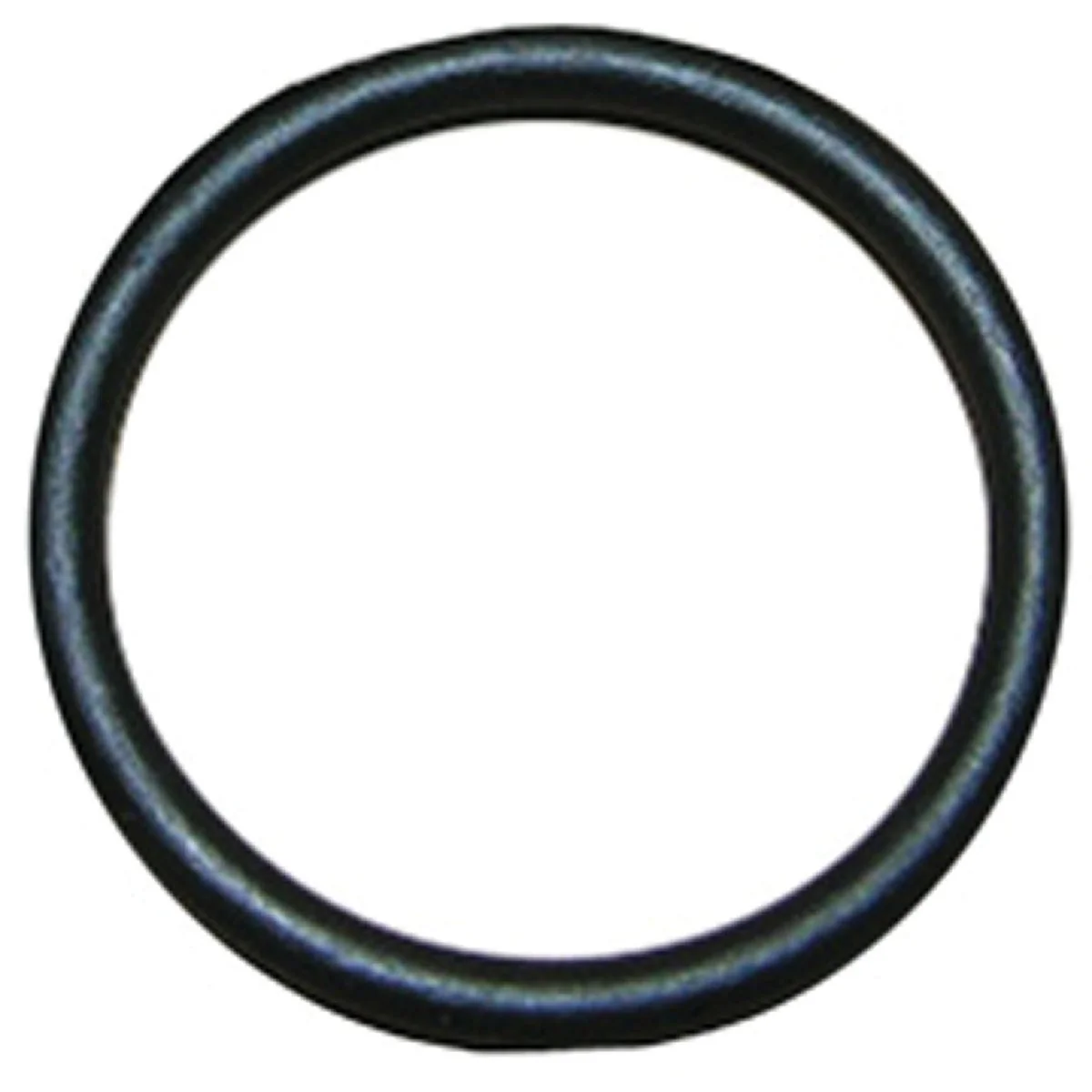 Contemporary Lasco 56 1 In. x 1-3 16 In. O-Ring Refined