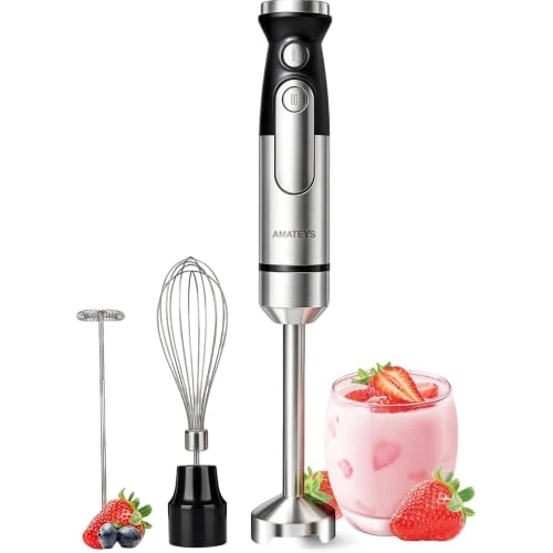Refined Immersion Hand Blender Sophisticated