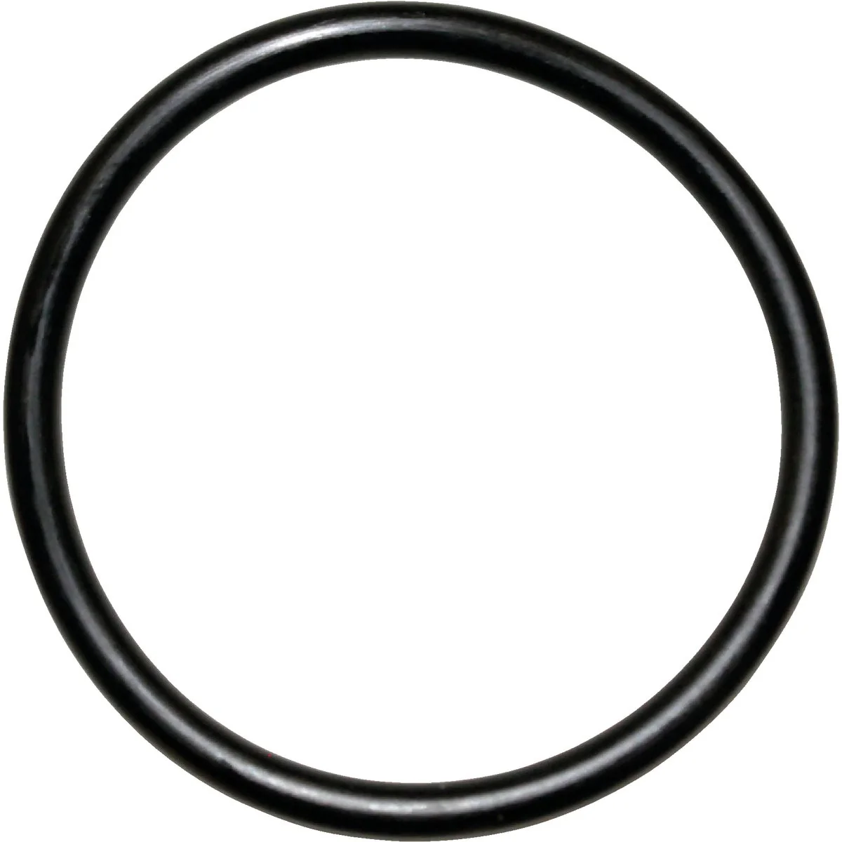 Reliable Danco 25 1-5 16 In. x 1-1 2 In. Buna-N O-Ring High-End