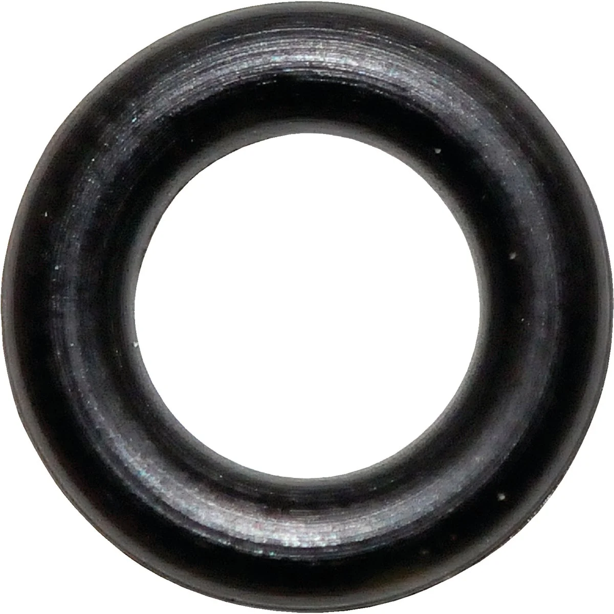 Solid Danco 36 3 16 In. x 5 16 In. Buna-N O-Ring Modern