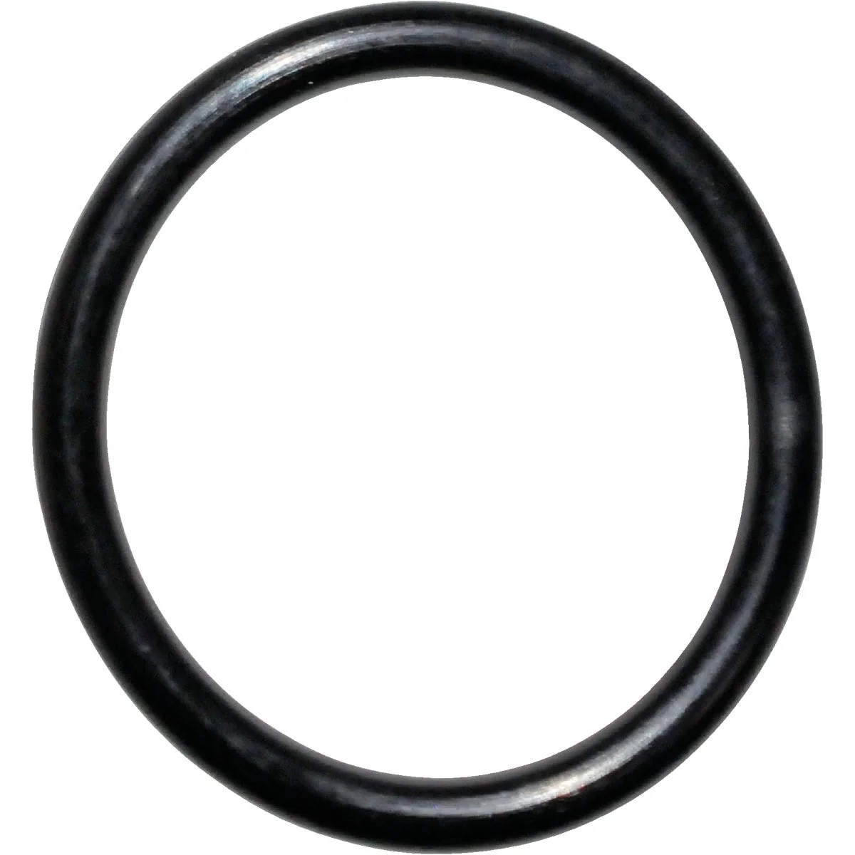 Advanced Danco 40 5 8 In. x 3 4 In. Buna-N O-Ring First-Class