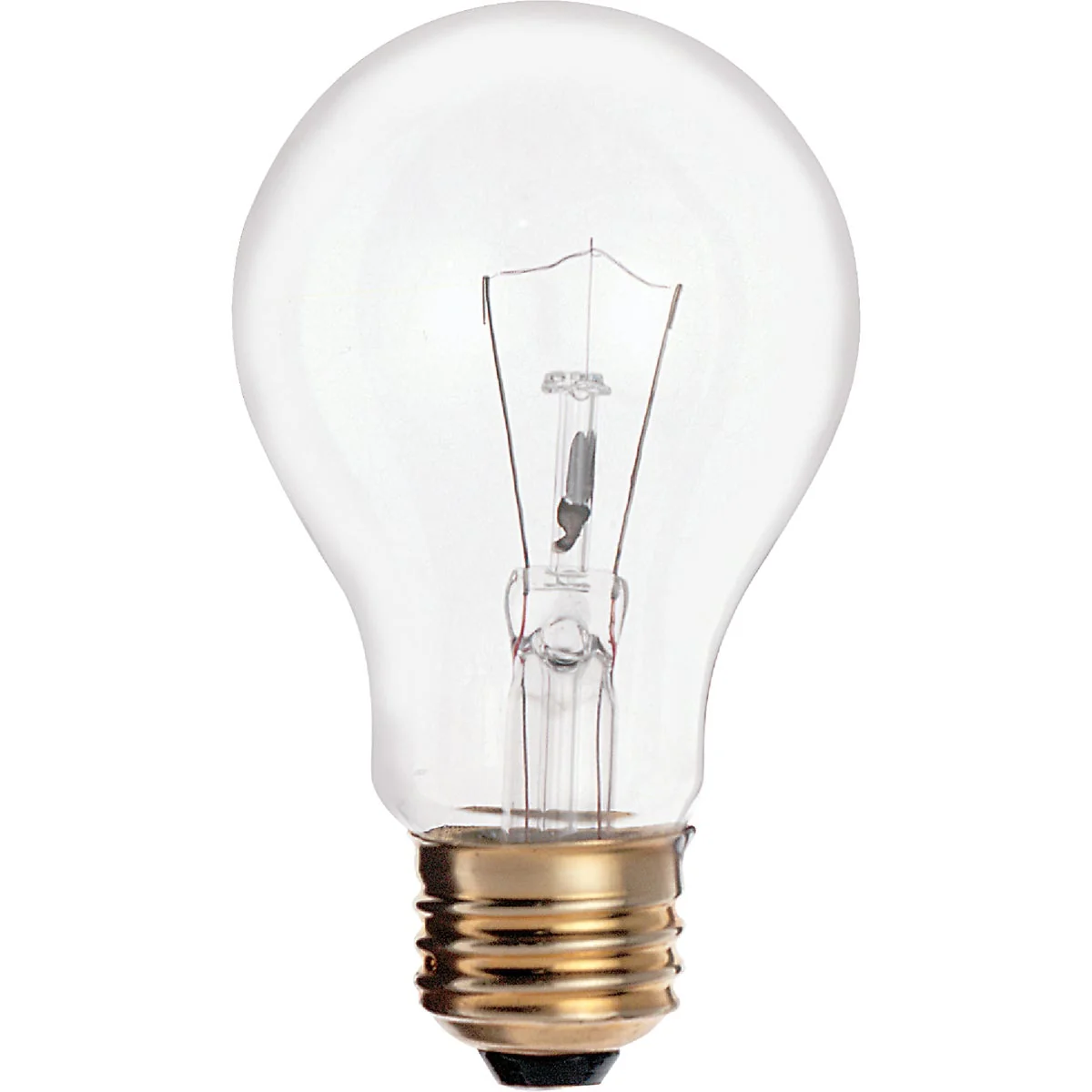 Responsible Satco 25W Clear Medium Base A19 Incandescent Light Bulb 2-Pack Relaxed