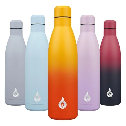 Premium 25 oz Insulated Stainless Steel Water Bottle Excellent