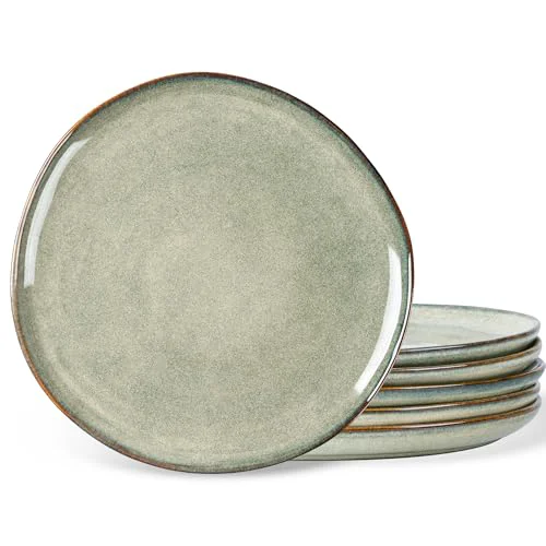 Eco-Friendly Ceramic Plates Set of 6 6 Count Professional