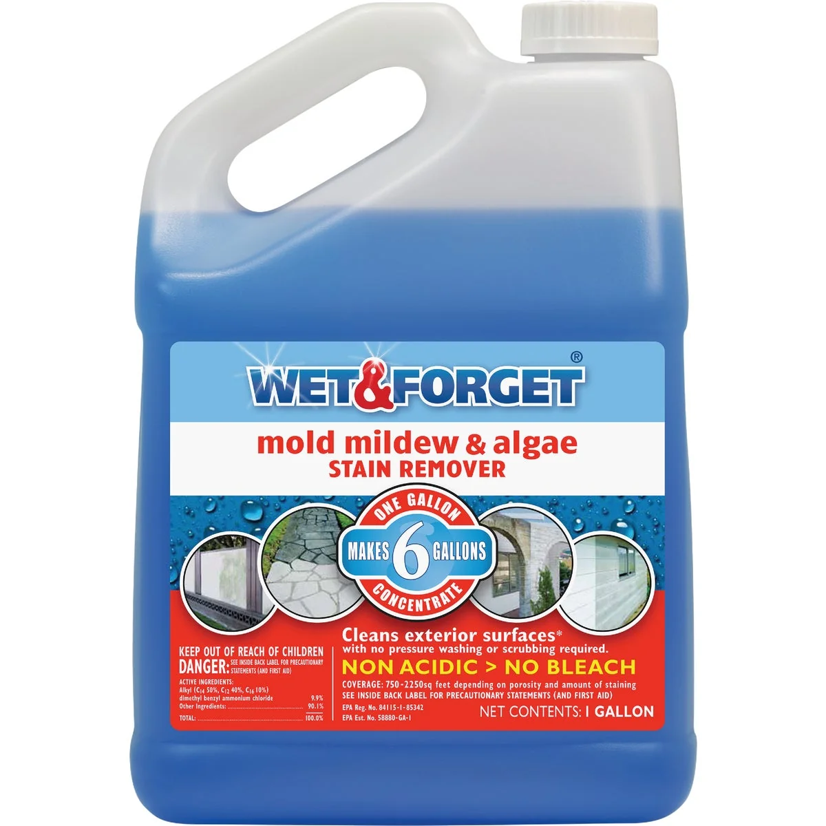 Smooth Wet Forget 1 Gal. Liquid Concentrate Mold Mildew Algae Stain Remover Pure