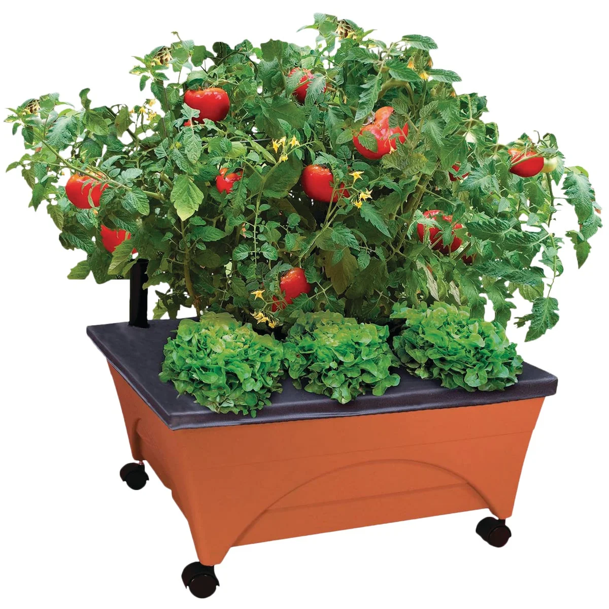 Long-Lasting City Pickers 24 In. W. x 20 In. H. x 24 In. L. Terra Cotta Resin Portable Patio Garden Kit Natural