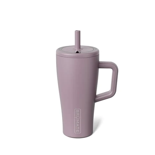 Original Era 20 oz Tumbler with Handle and Straw Superior