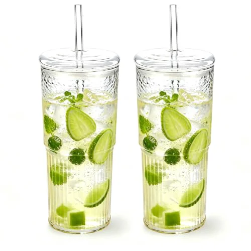 Professional 2‑Pack 20oz Borosilicate Glass Tumblers with Glass Lid Straw Solid