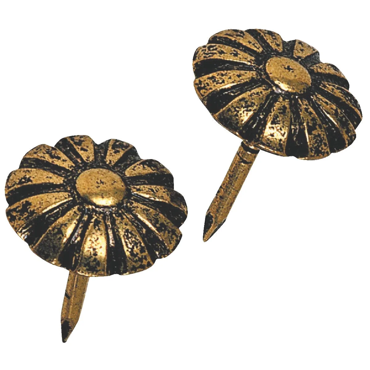 Selected Hillman Fastener Corp Daisy Oxford Antique Brass Furniture Nail 25 Ct. Responsible
