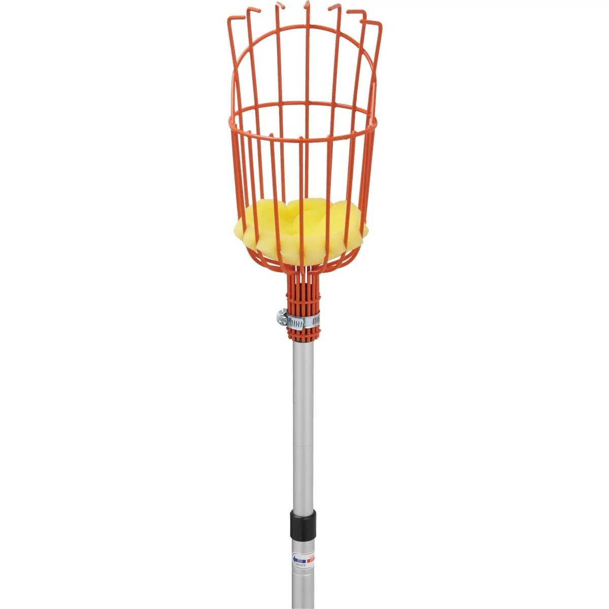 Contemporary Garden Basket w Long Handle Enameled Steel Aluminum Fruit Picker Trusted