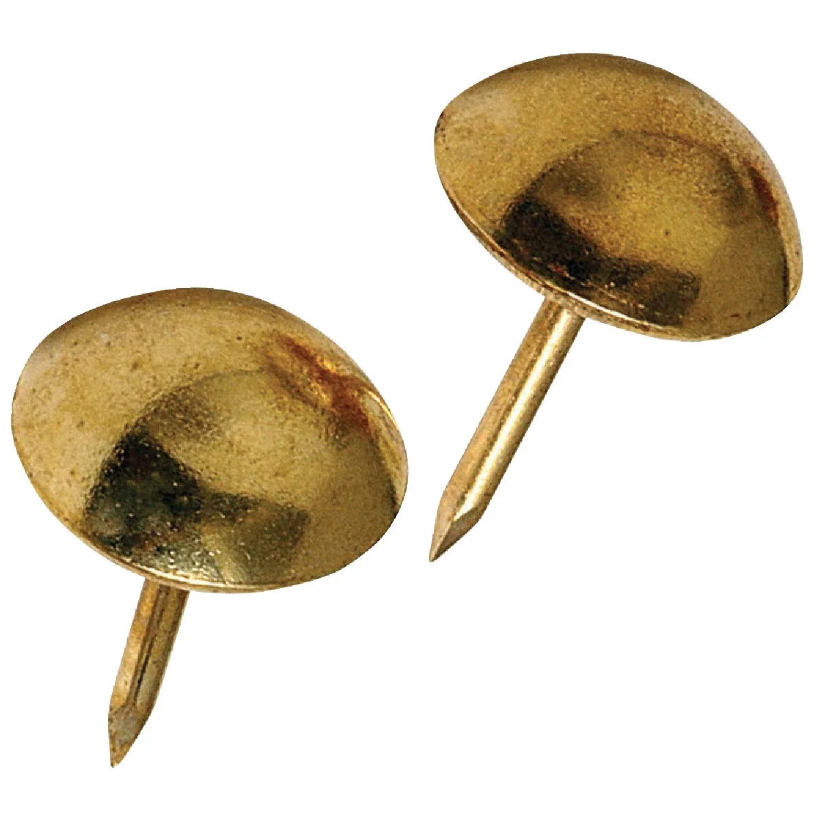Pure Hillman Fastener Corp Large Round Brass Furniture Nail 25 Ct. Relaxed