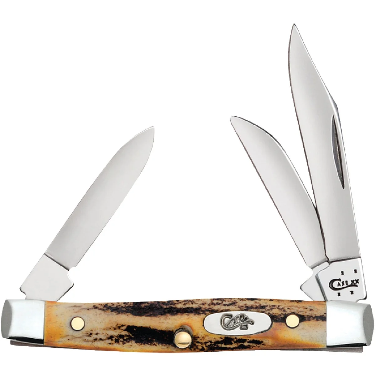 Long-Lasting Case Stag 2 In. 1.5 In. 1.49 In. Small Stockman Folding Knife Genuine