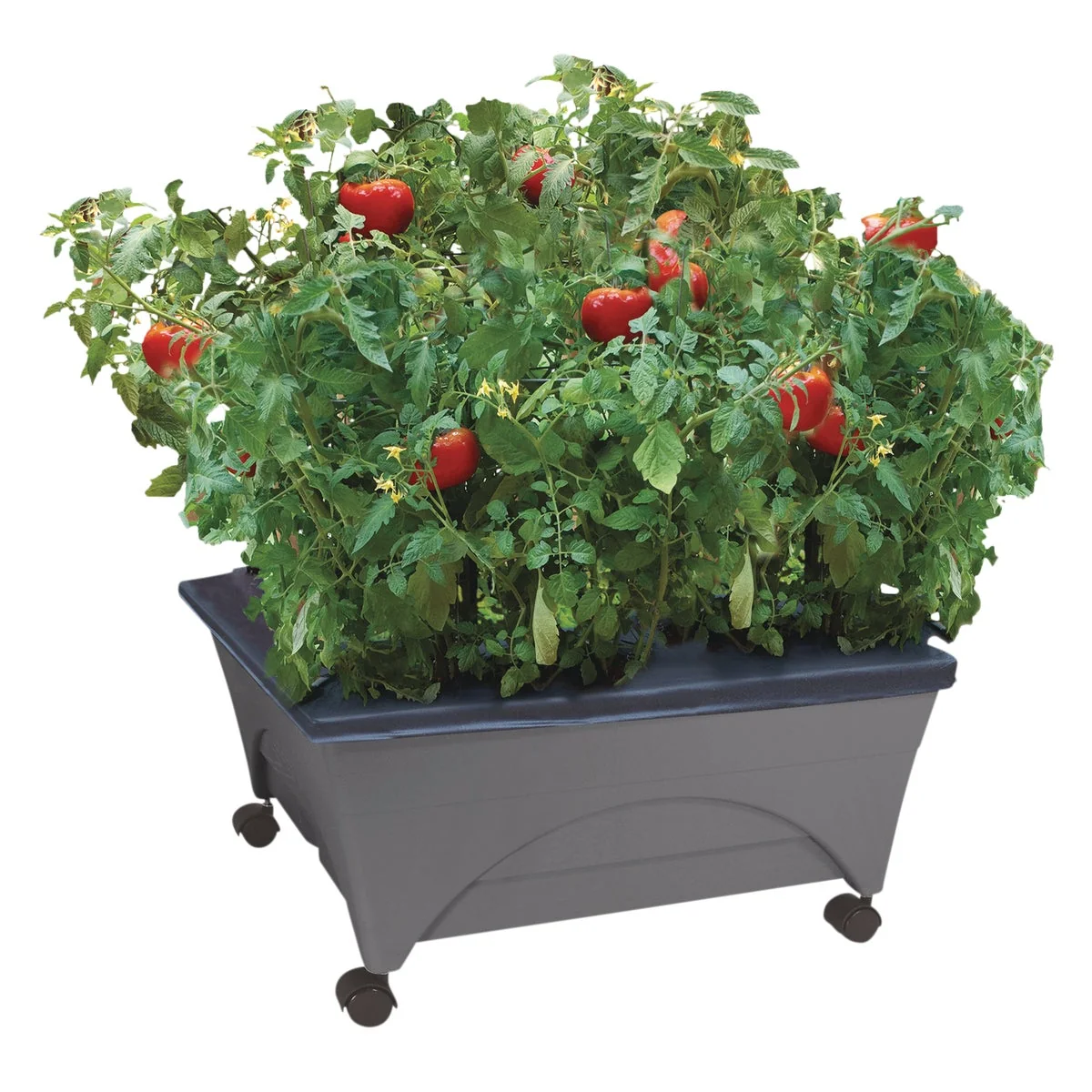 Next-Generation City Pickers 20 In. W. x 11 In. H. x 24 In. L. Slate Polyethylene Portable Patio Garden Kit Organic