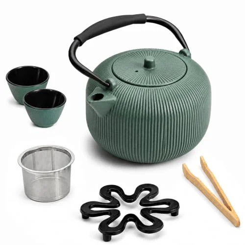 Unique Cast Iron Teapot Set with 2 Cups Fine