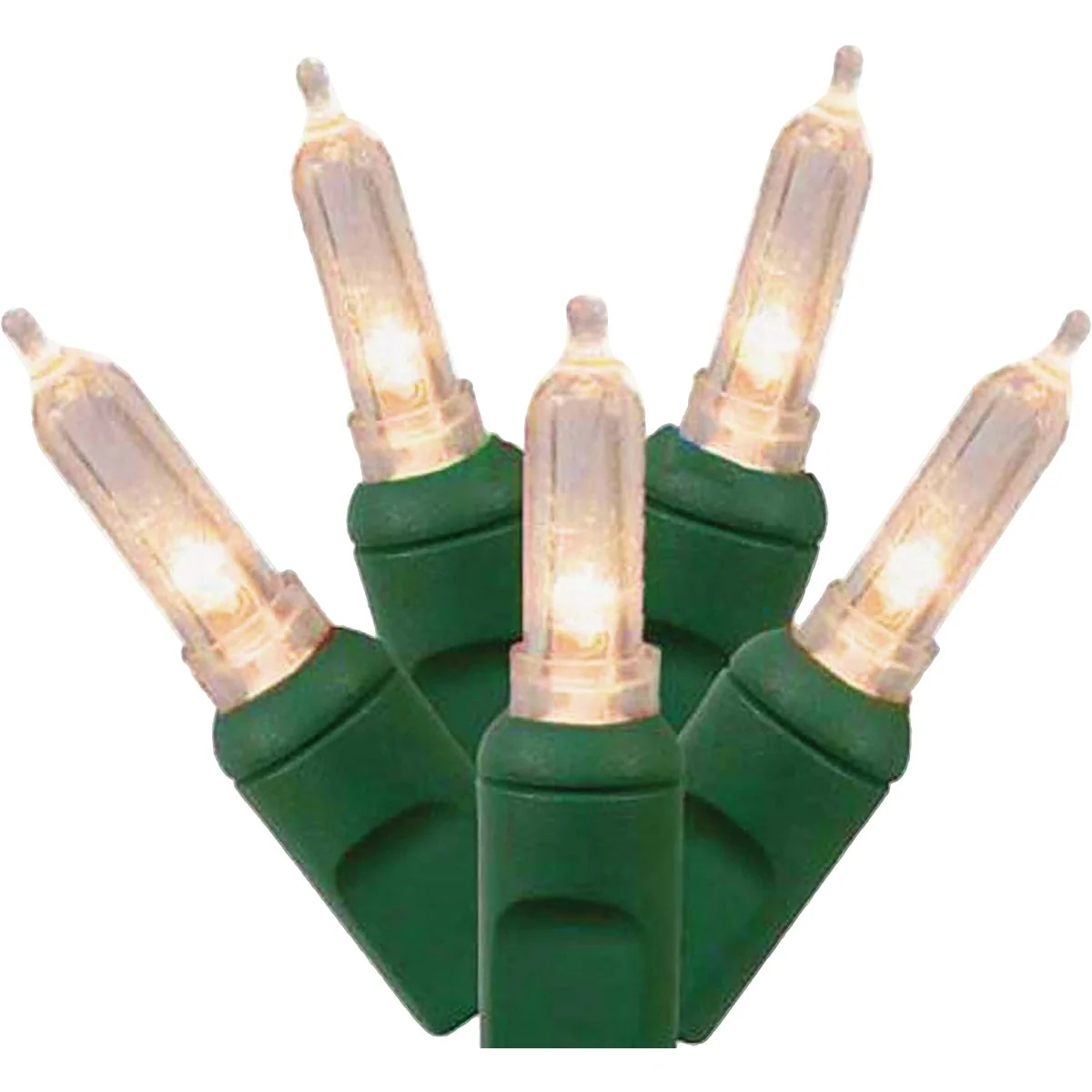Specialty J Hofert Warm White 50-Bulb Mini LED String Light Set Outstanding