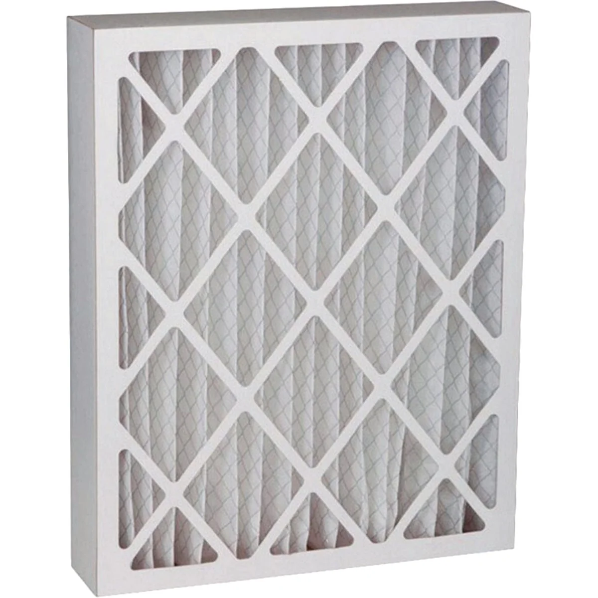 Professional Air 20 In. x 20 In. x 4 In. Pleated Furnace Filter MERV 8 Recyclable