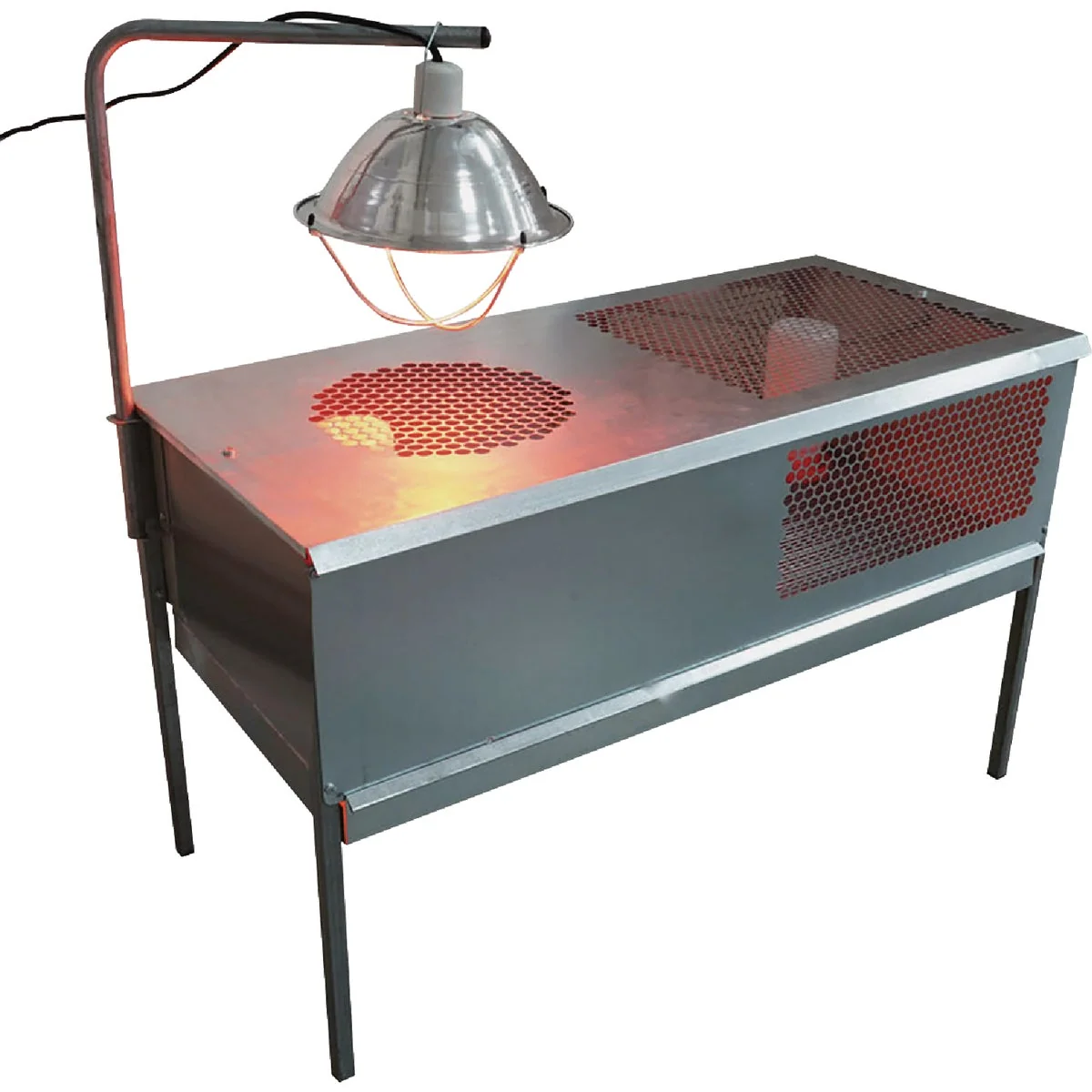 Exceptional Stromberg’s Stand Up Chick Brooder Quality