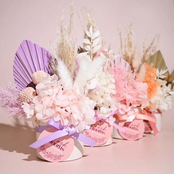 Versatile Mini Dried Pot Arrangement Environmentally Friendly