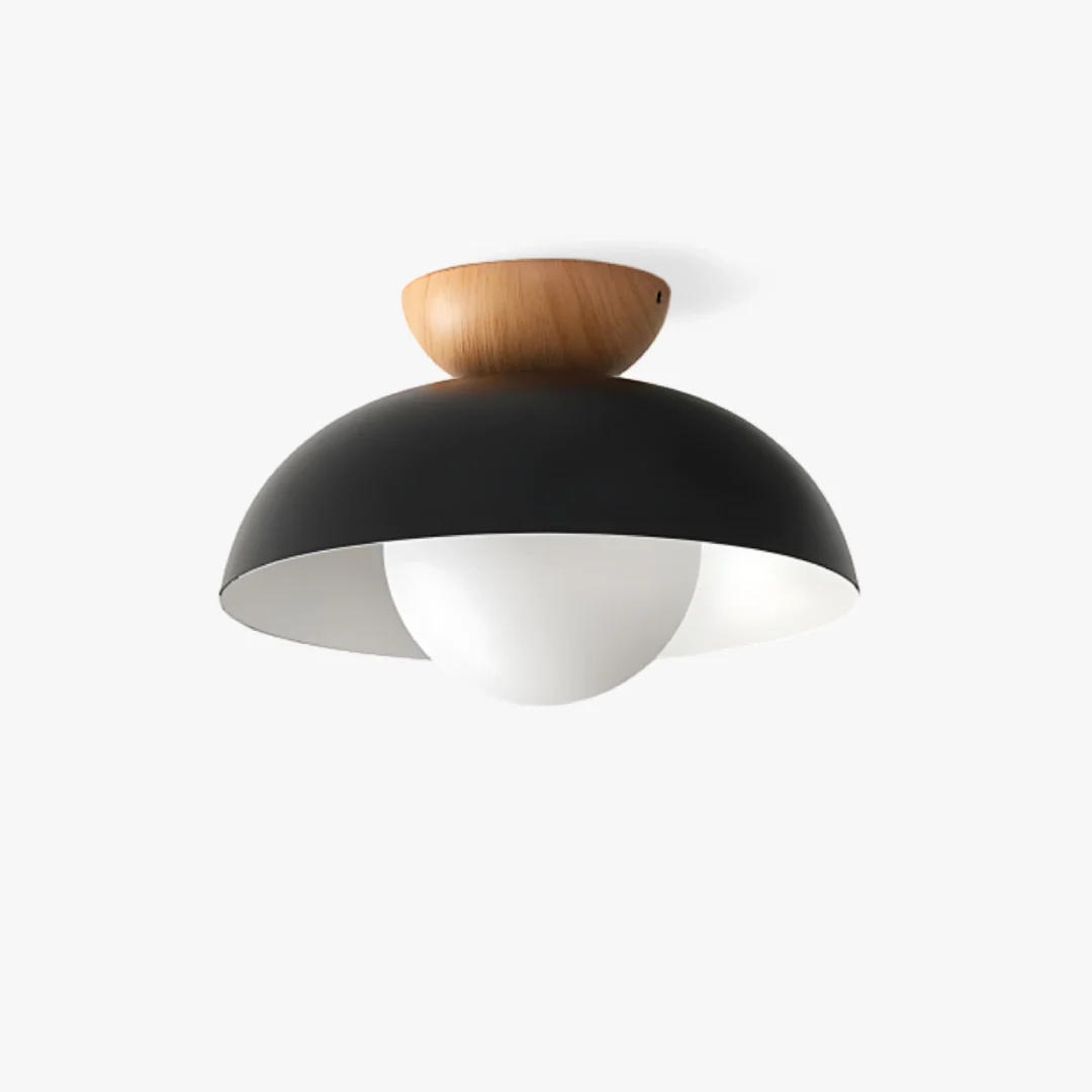 Specialty Deku Moderm Ceiling Light First-Class