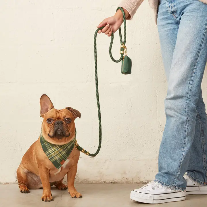 Minimalist Evergreen Waxed Canvas Dog Poop Bag Dispenser Original
