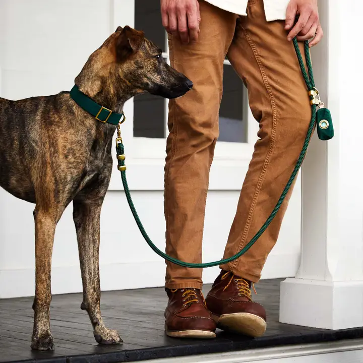 Elegant Evergreen Marine Rope Dog Leash 5 Foot Fine