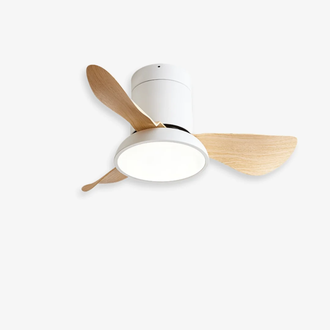 Eco-Friendly Kominmin Ceiling Fan Light Practical