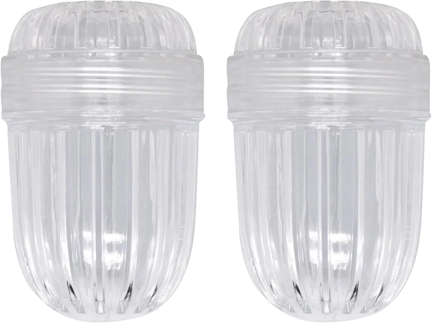 Environmentally Friendly 2 pcs Fruit Infuser Insert Tea Infuser Bottle Ball for Wide Mouth Bottles Efficient
