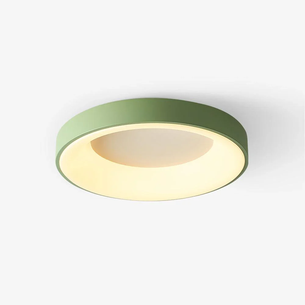 Environmentally Friendly Acryl moderne plafondlamp Solid