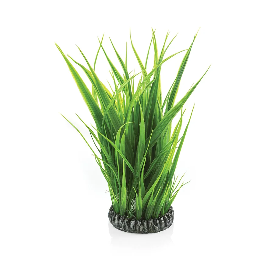 Certified BiOrb Aquarium Grass Ring Green Large Clean