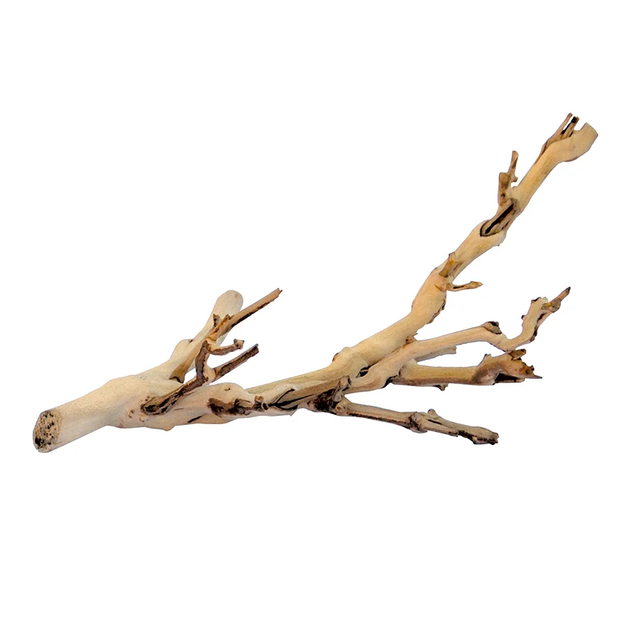 Fine Crafted Exo Terra Forest Branch Decoration Small Functional