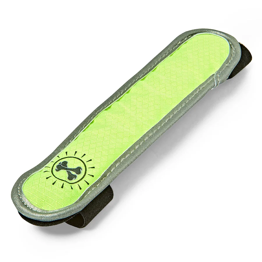 Solid Pets at Home Flashing Dog Collar Slider Clean