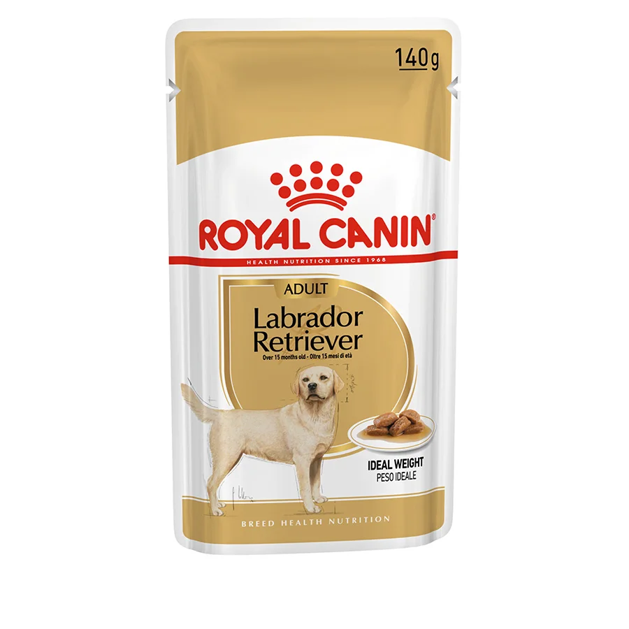 Solid Royal Canin Labrador Adult Wet Dog Food 10x140g Green