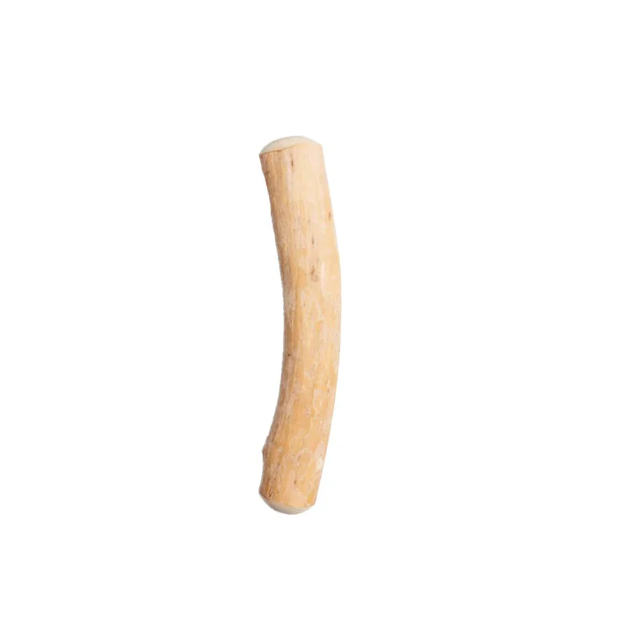 Trendy Canophera Dog Chew Stick Coffee Wood Small Quality