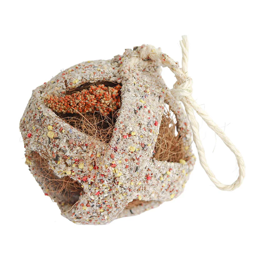 Premium Material Quiko Bird Snack Play Fitness Foodball Grit 100g Enhanced