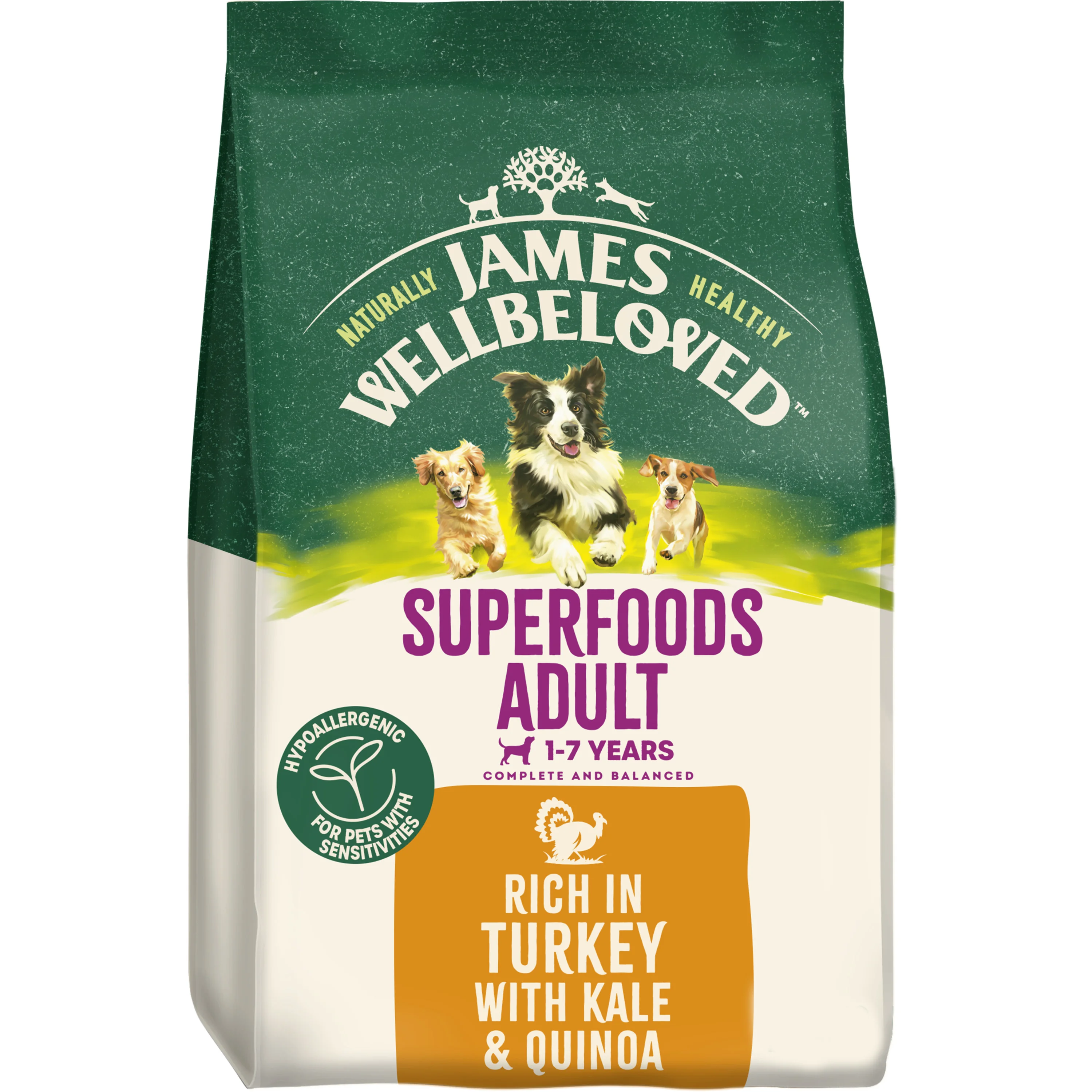 Trendy James Wellbeloved Superfoods Adult Dry Dog Turkey， Kale Quinoa World-Class